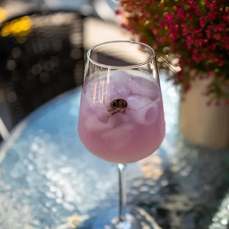 Red Baron Hotel&restaurant