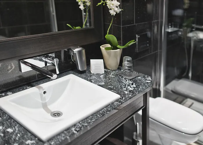 Red Baron & Restaurant 4*